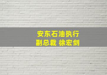 安东石油执行副总裁 徐宏剑